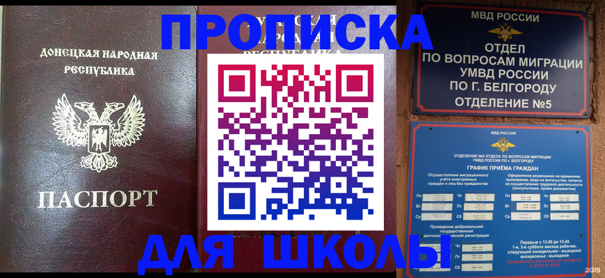 прописка для работы в Светлограде